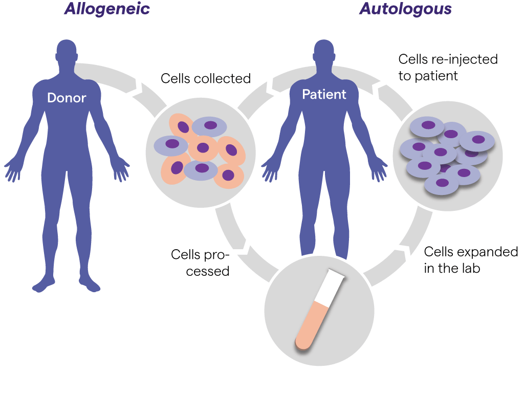 Cell Therapies